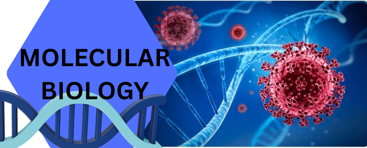 Molecular biology